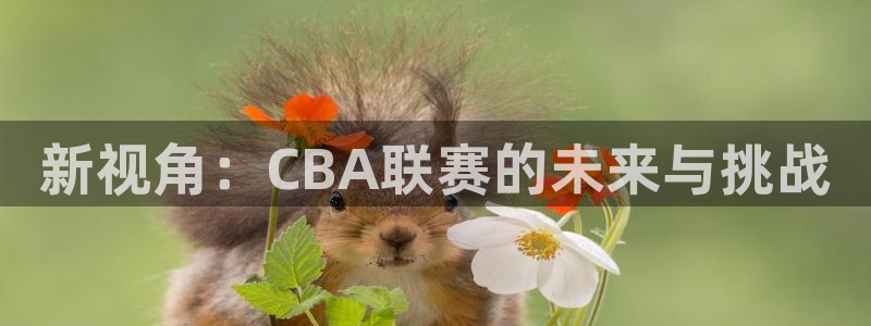新视角：CBA联赛的未来与挑战