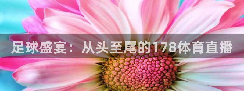 足球盛宴：从头至尾的178体育直播