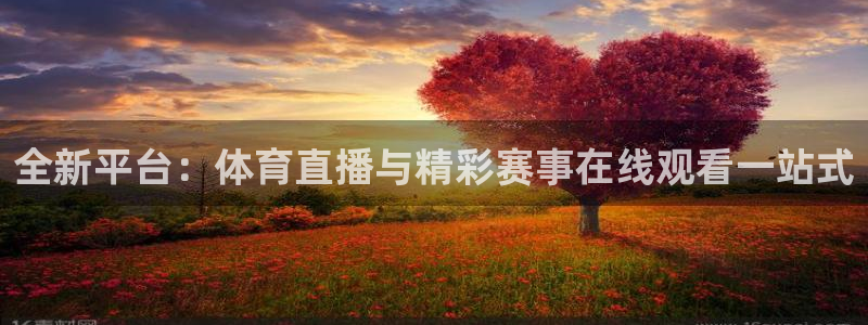 全新平台：体育直播与精彩赛事在线观看一站式