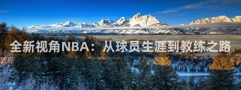 全新视角NBA：从球员生涯到教练之路