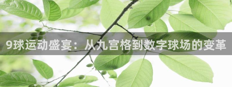 9球运动盛宴：从九宫格到数字球场的变革