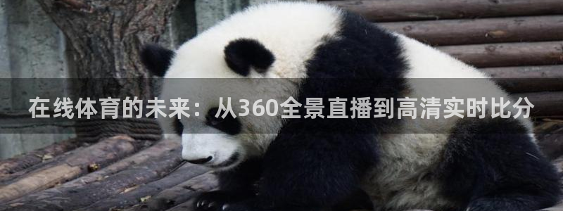 在线体育的未来：从360全景直播到高清实时比分