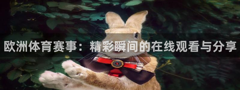 欧洲体育赛事：精彩瞬间的在线观看与分享