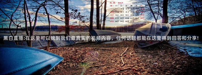黑白直播:在这里可以找到我们最真实的视频内容，任何话题都能在这里得到回答和分享!
