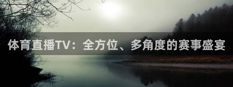 体育直播TV：全方位、多角度的赛事盛宴
