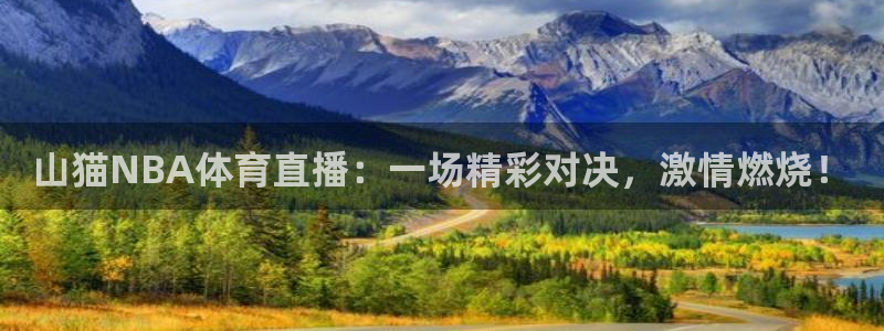 山猫NBA体育直播：一场精彩对决，激情燃烧！