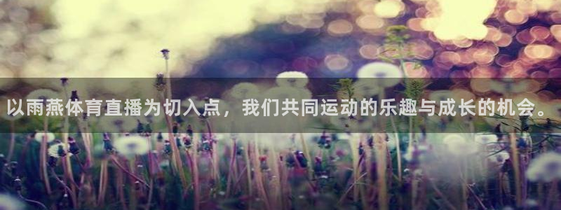 14年世界杯小组赛积分榜：以雨燕体育直播为切入点，我们共同运动的乐趣与成长的机会。