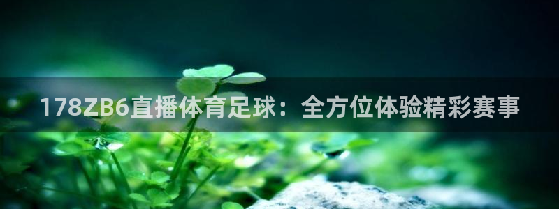 世界杯足球怎么买输赢：178ZB6直播体育足球：全方位体验精彩赛事