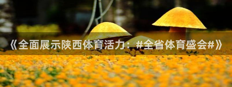 今晚世界杯直播节目单：《全面展示陕西体育活力：#全省体育盛会#》