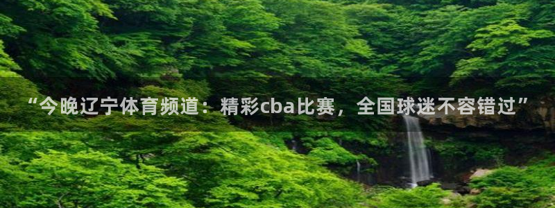 观看世界杯观后感：“今晚辽宁体育频道：精彩cba比赛，全国球迷不容错过”