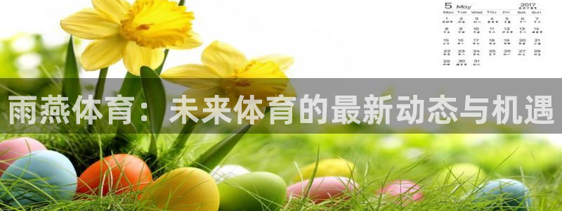 世界杯比赛日：雨燕体育：未来体育的最新动态与机遇