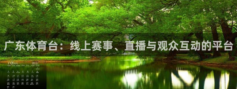 盲人足球世界杯：广东体育台：线上赛事、直播与观众互动的平台