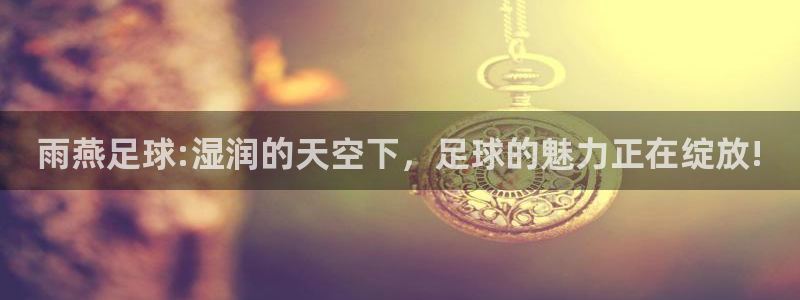 泡椒鸡爪可以放柠檬吗：雨燕足球:湿润的天空下，足球的魅力正在绽放!