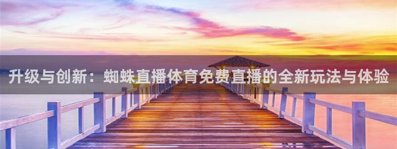 22世界杯赛程：升级与创新：蜘蛛直播体育免费直播的全新玩法与体验