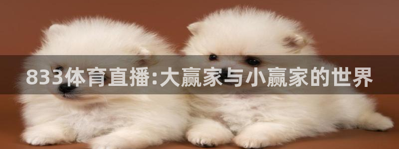 北美洲世界杯预选赛：833体育直播:大赢家与小赢家的世界