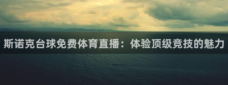 世界杯2026：斯诺克台球免费体育直播：体验顶级竞技的魅力