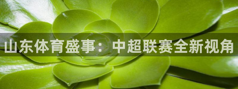 篮球世界杯比赛直播：山东体育盛事：中超联赛全新视角
